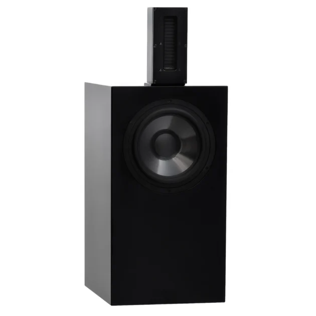 Chiara Speaker - Image 8